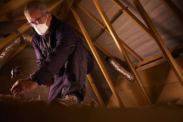 Types of Insulation We Offer in North York, PA